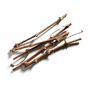Sarments de vigne